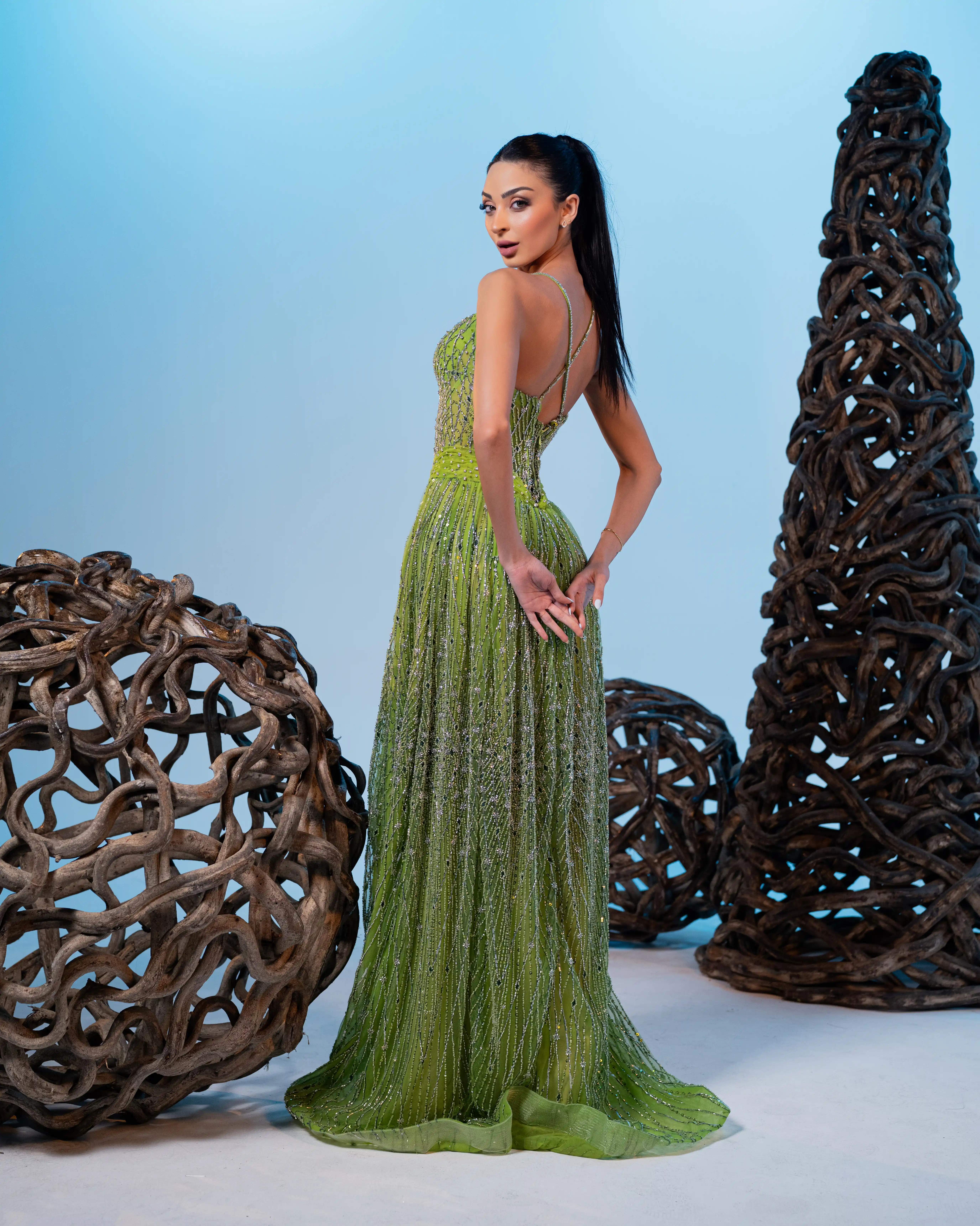 Dress Detail 1